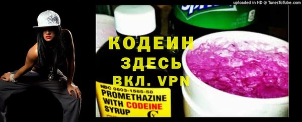 гашик Бородино