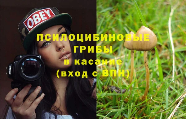 гашик Бородино