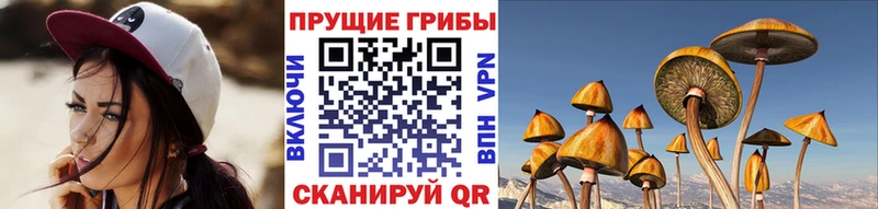 ссылка на мегу рабочий сайт  Нея  Галлюциногенные грибы Cubensis 