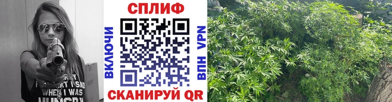 Шишки марихуана LSD WEED кракен зеркало Нея